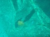 sm_p3310591.jpg