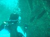 sm_p3310592.jpg