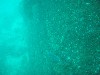 sm_p3310593.jpg