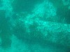sm_p3310594.jpg