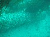 sm_p3310595.jpg