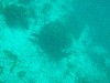 sm_p3310596.jpg