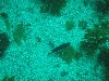 sm_p3310597.jpg