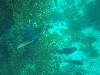 sm_p3310598.jpg