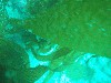 sm_p3310599.jpg