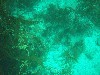 sm_p3310600.jpg