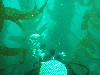sm_p3310602.jpg