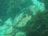 sm_p3310609.jpg