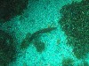 sm_p3310616.jpg