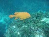 sm_p3310619.jpg