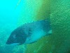 sm_p3310629.jpg