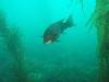 sm_p3310633.jpg