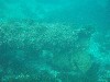 sm_p3310637.jpg