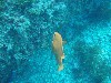 sm_p3310640.jpg
