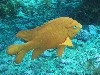 sm_p3310645.jpg