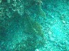 sm_p3310646.jpg