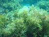 sm_p3310664.jpg
