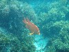 sm_p3310666.jpg