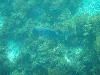 sm_p3310667.jpg