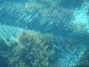 sm_p3310668.jpg