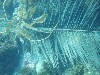 sm_p3310669.jpg