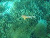 sm_p3310670.jpg