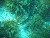 sm_p3310676.jpg