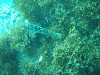 sm_p3310677.jpg