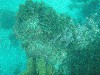 sm_p3310678.jpg