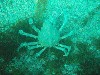 sm_p3310681.jpg