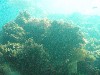 sm_p3310682.jpg