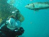sm_p3310689.jpg