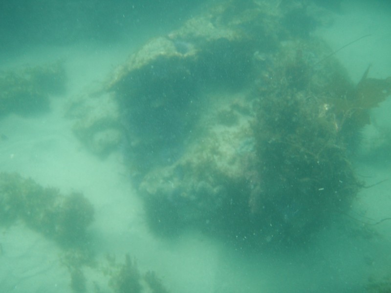 sm_p6222037.jpg