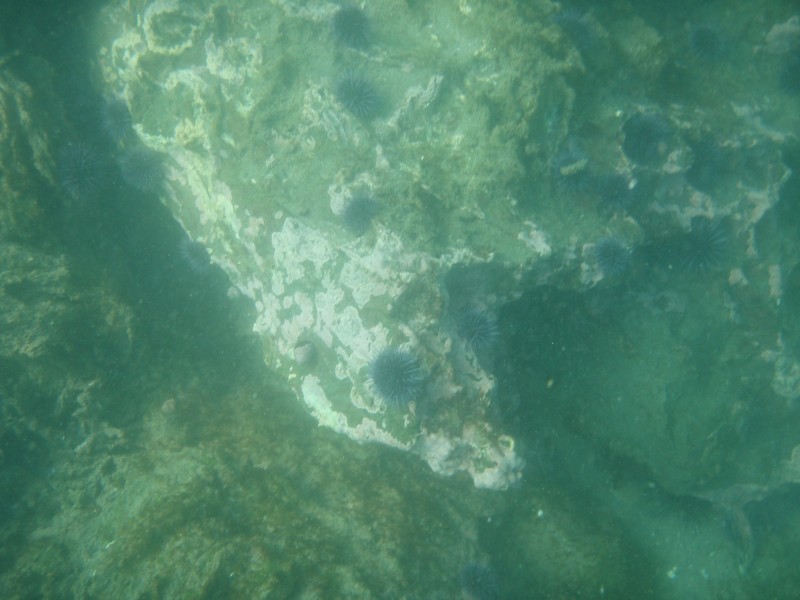 sm_p6222040.jpg