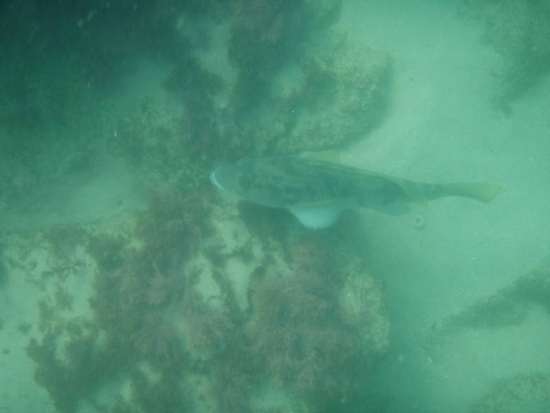 sm_p6222041.jpg