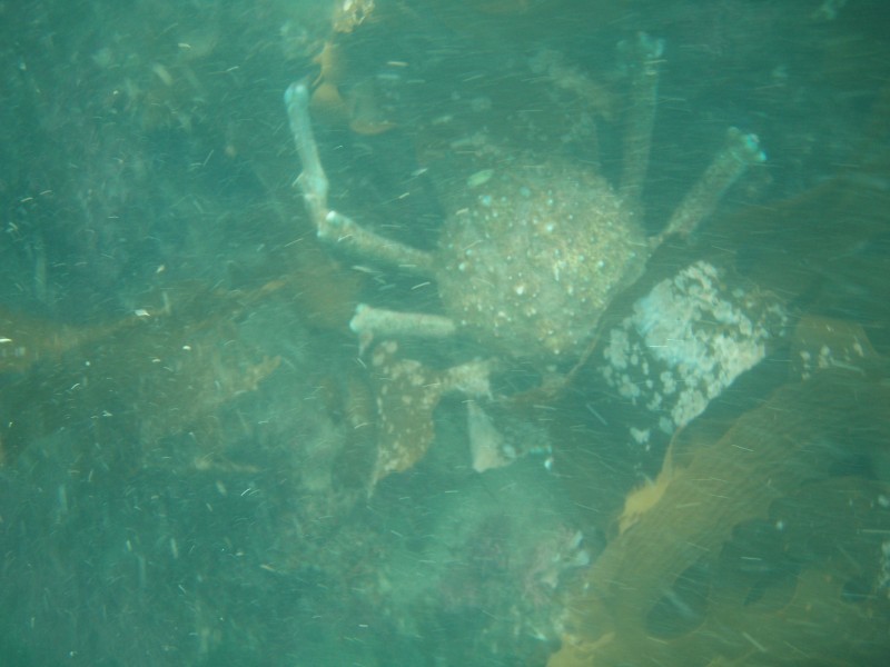 sm_p6222044.jpg