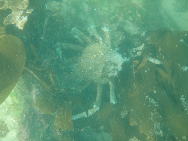 sm_p6222046.jpg