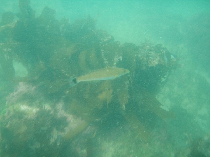 sm_p6222048.jpg