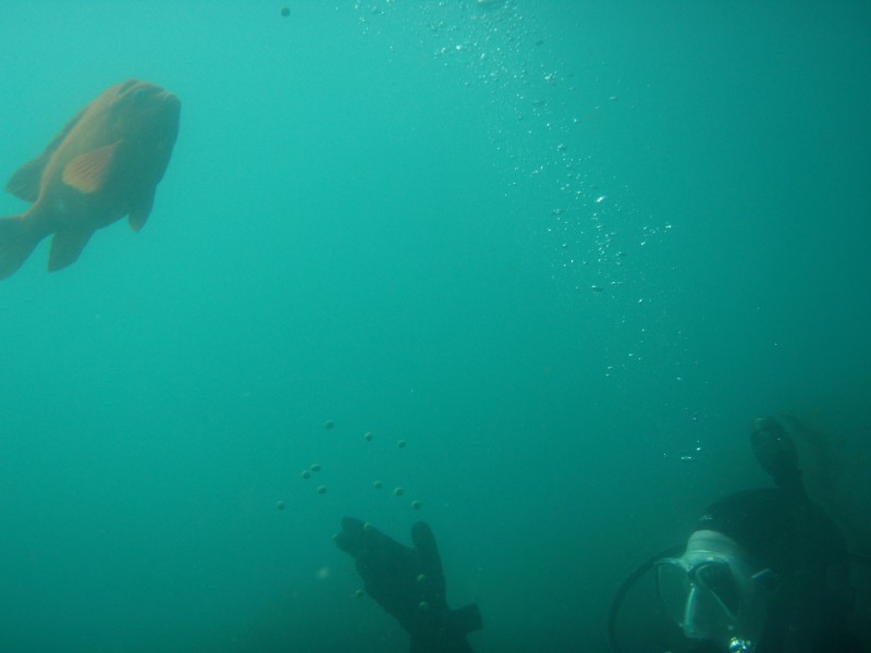 sm_p6222058.jpg