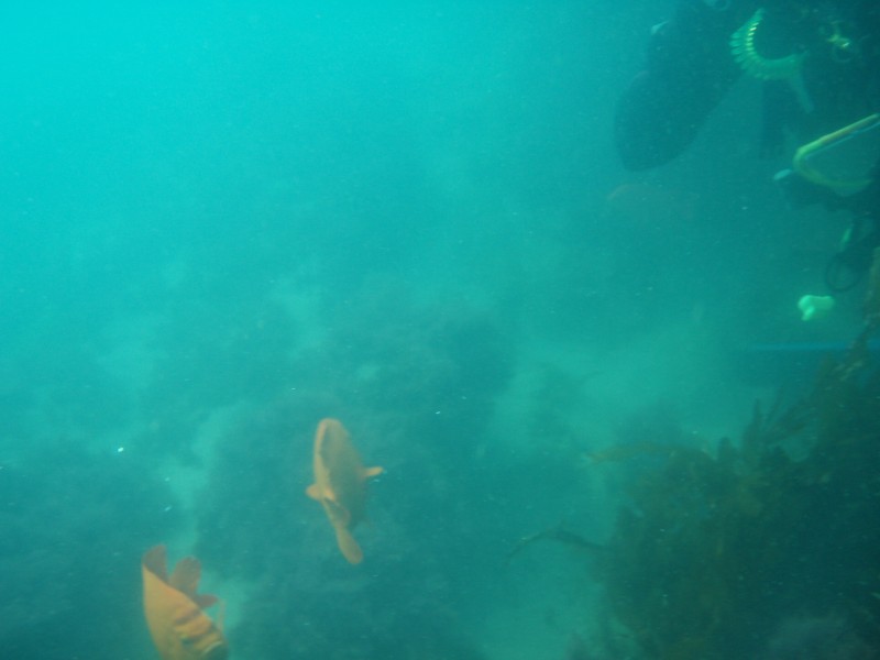 sm_p6222059.jpg