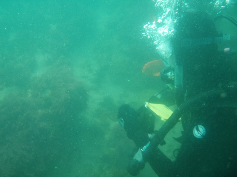 sm_p6222060.jpg