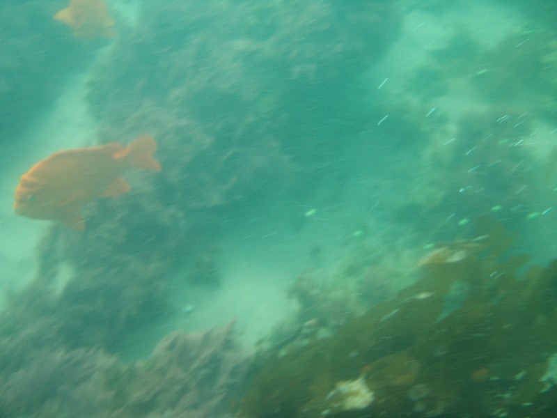 sm_p6222061.jpg