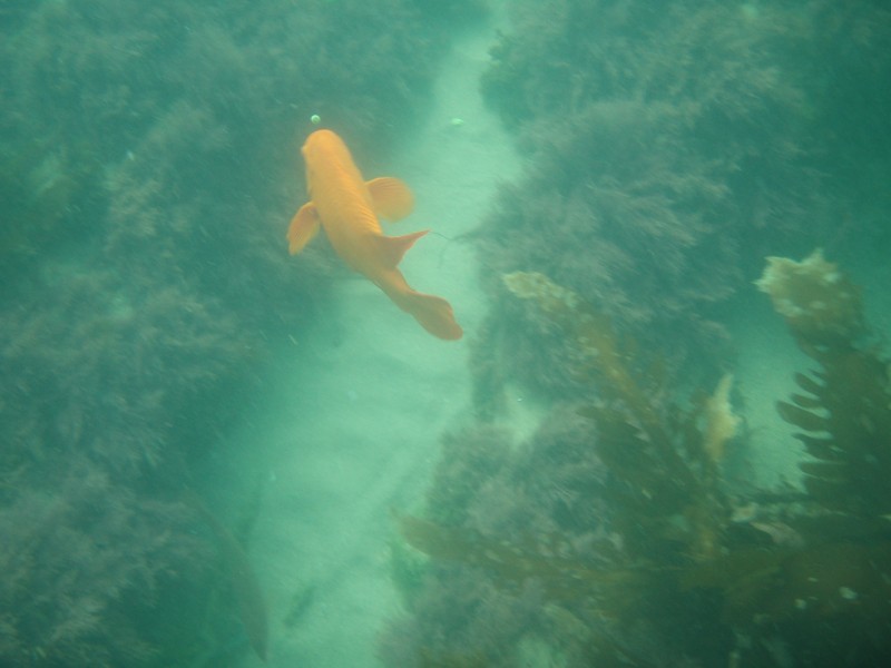 sm_p6222062.jpg