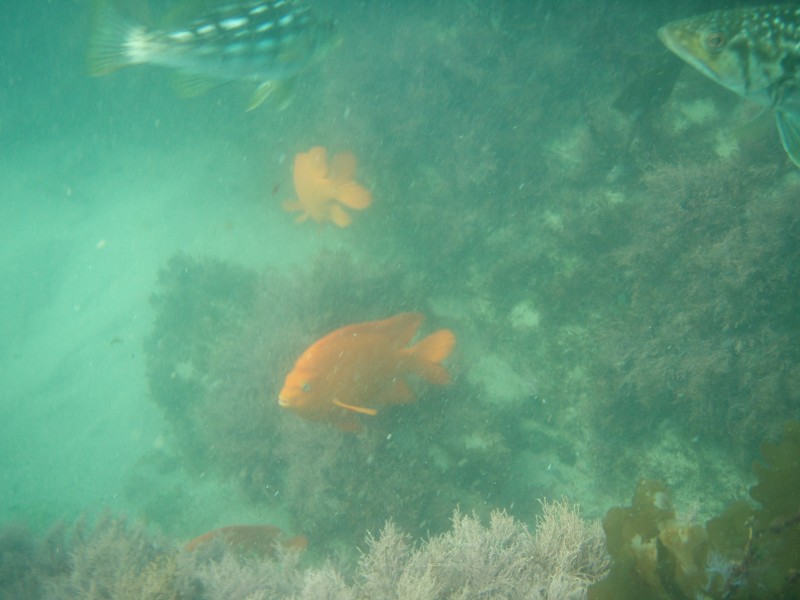 sm_p6222071.jpg