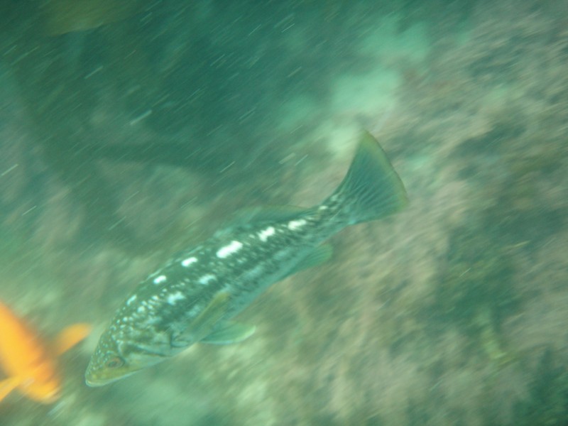 sm_p6222072.jpg