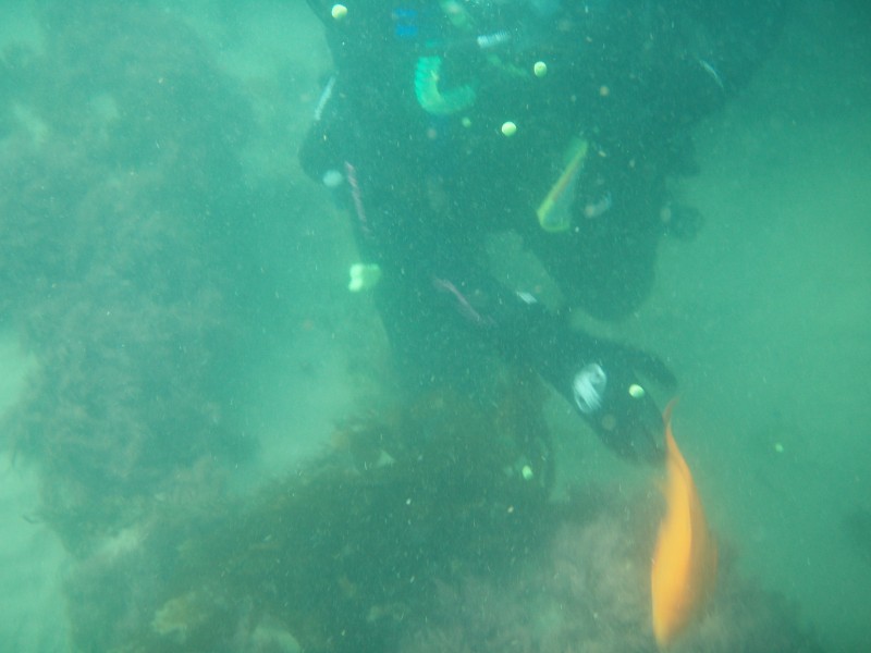 sm_p6222074.jpg