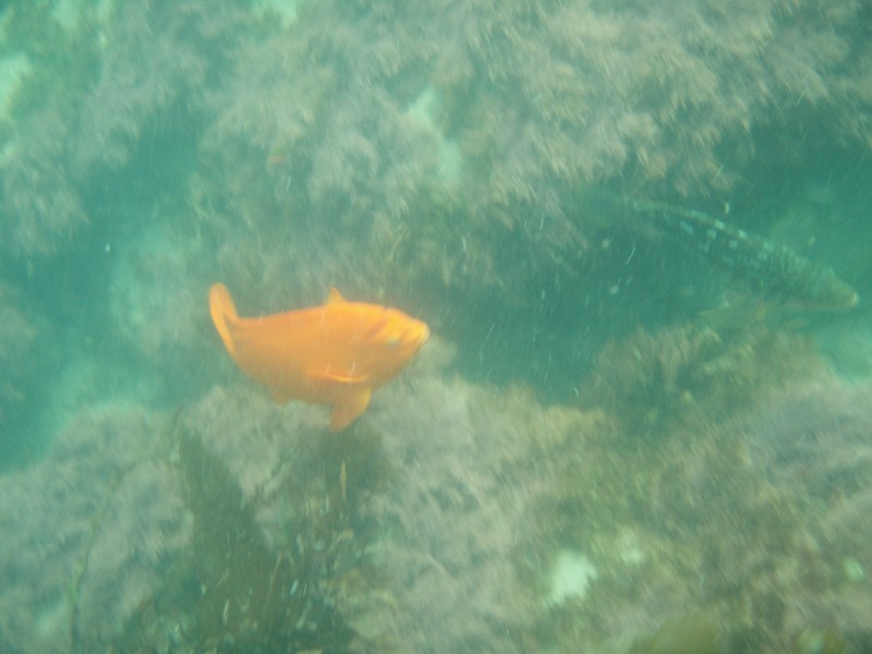 sm_p6222075.jpg