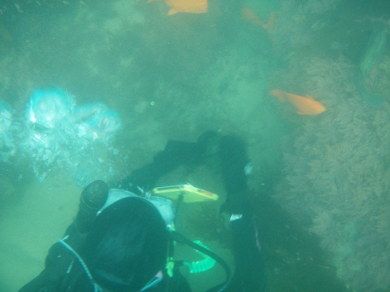 sm_p6222077.jpg
