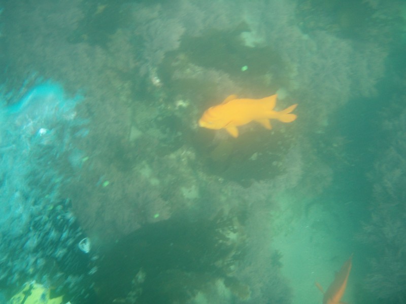 sm_p6222078.jpg