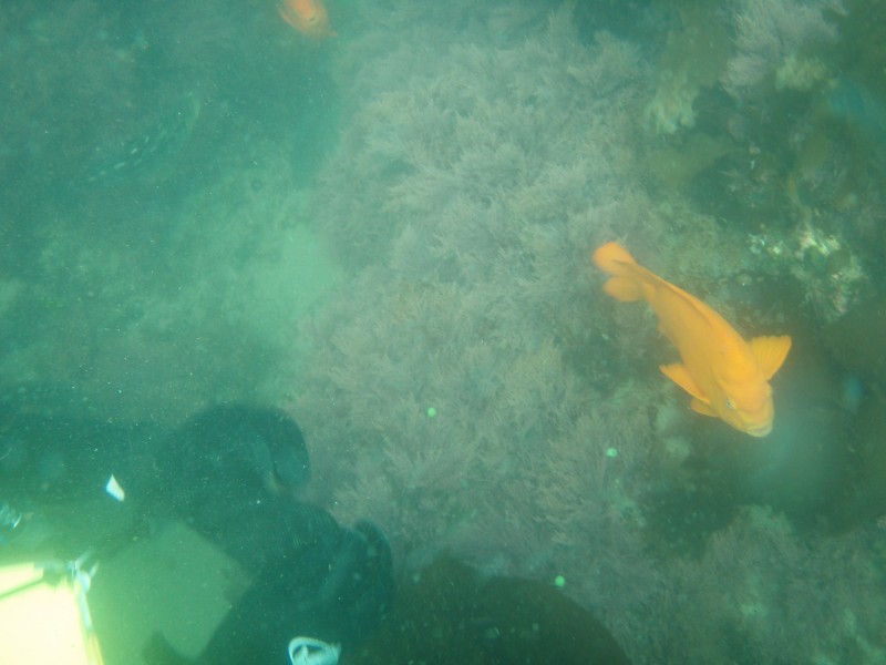 sm_p6222080.jpg